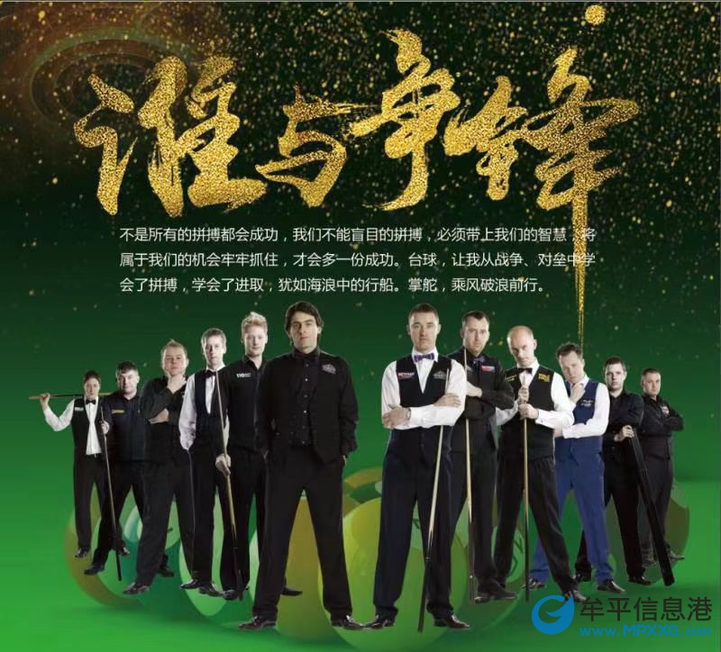 台球助教服务员