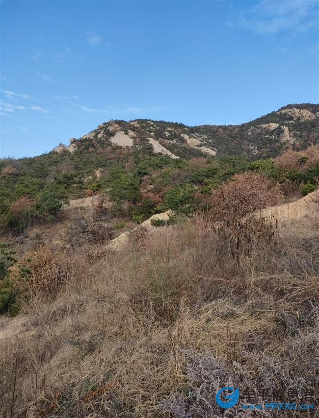 玉林店小扽圈有山林地50亩（对外出租、出售）