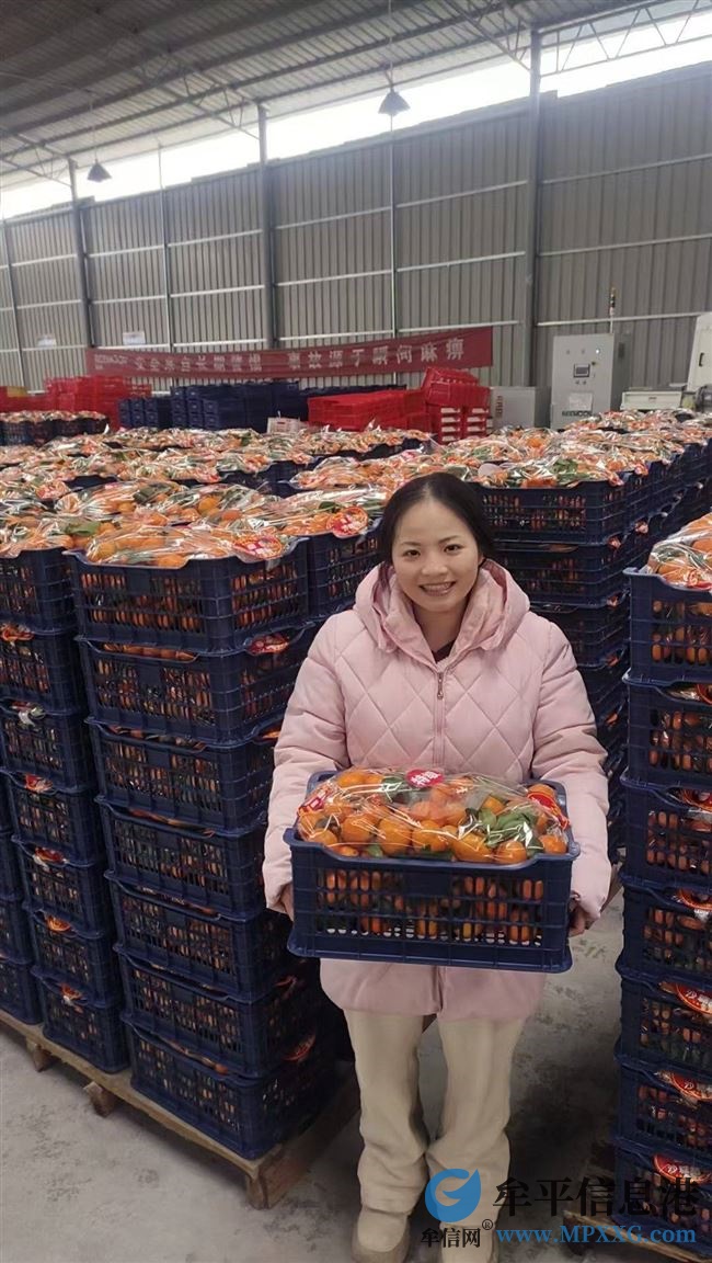 批发砂糖橘，沃柑